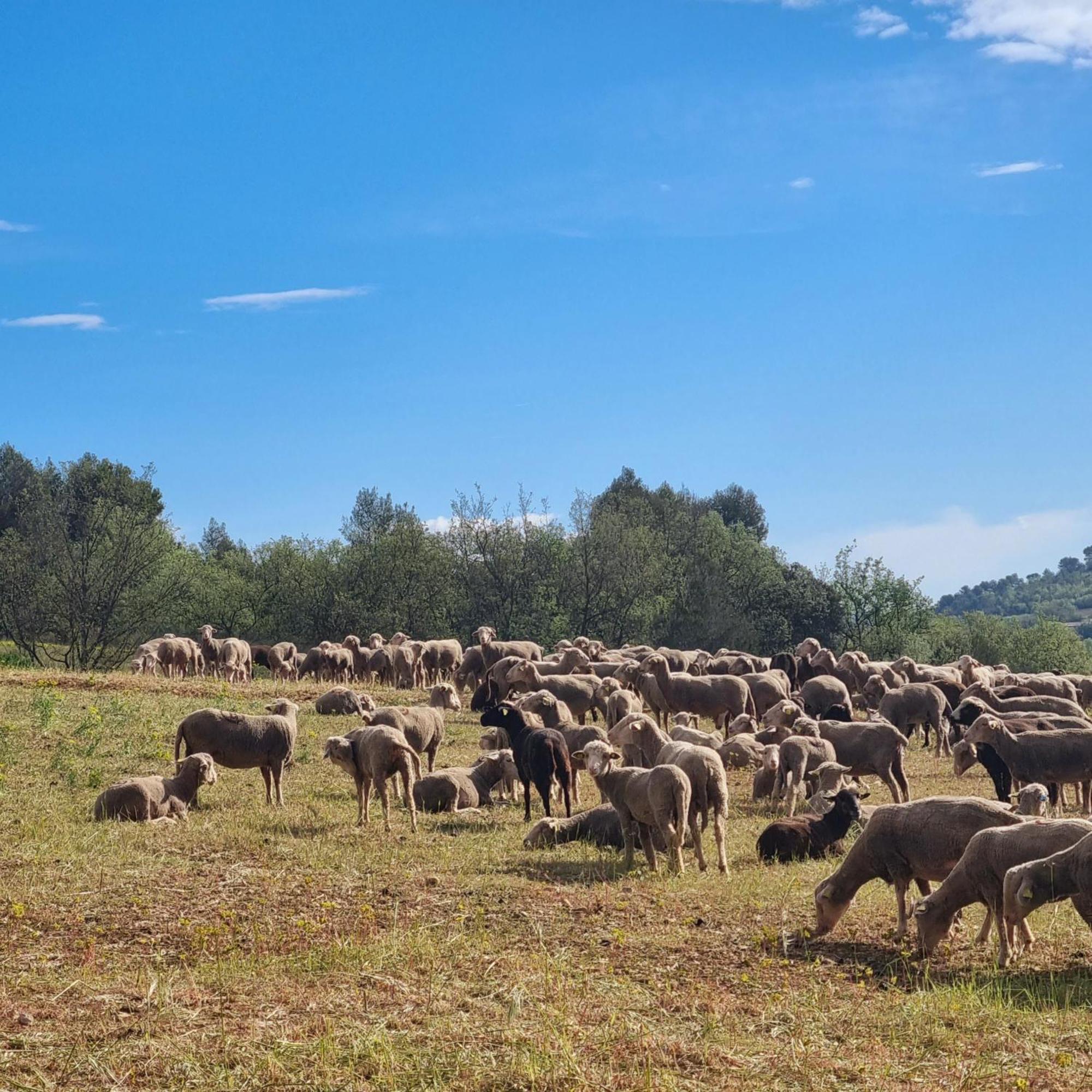 L'Oustaou Du Luberon Et Spa Villelaure Екстер'єр фото