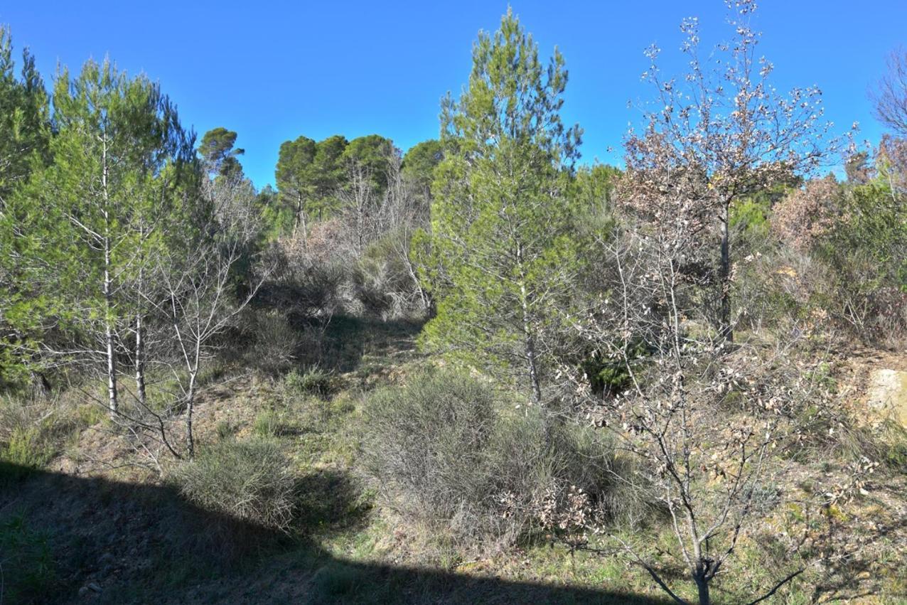 L'Oustaou Du Luberon Et Spa Villelaure Екстер'єр фото