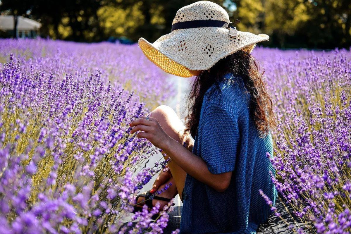 L'Oustaou Du Luberon Et Spa Villelaure Екстер'єр фото