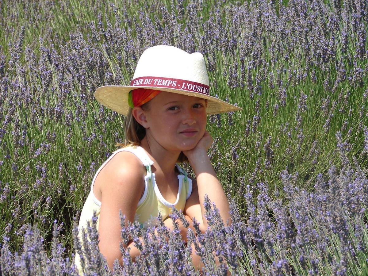 L'Oustaou Du Luberon Et Spa Villelaure Екстер'єр фото